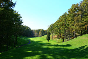 IMG_9270.JPG