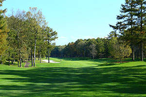IMG_9292.JPG