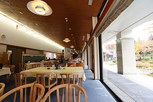 IMG_9484.JPG