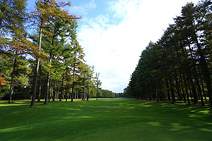 IMG_9642.JPG