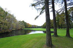 IMG_9674.JPG
