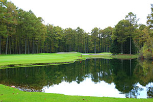 IMG_9767.JPG