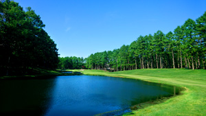 DSC_0107-G9H.jpg