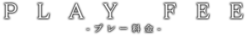 プレー料金